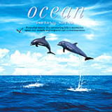 Ocean����I�[�V�����̃q�[�����OCD