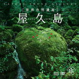 屋久島〜世界自然遺産