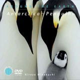 南極〜ペンギン