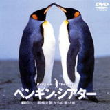 ペンギンシアター/癒しのヒーリングDVD