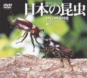 日本の昆虫/癒しのヒーリングDVD