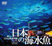 日本の海水魚/癒しのヒーリングDVD
