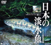 日本の淡水魚/癒しのヒーリングDVD
