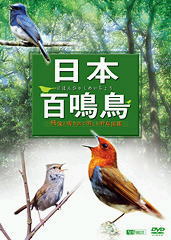 日本百鳴鳥